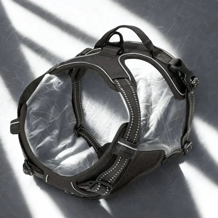 Harnais de Dressage pour Chien