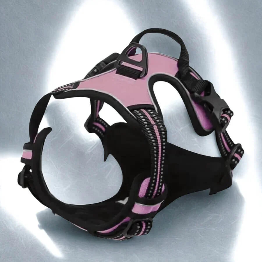 Harnais de Dressage pour Chien