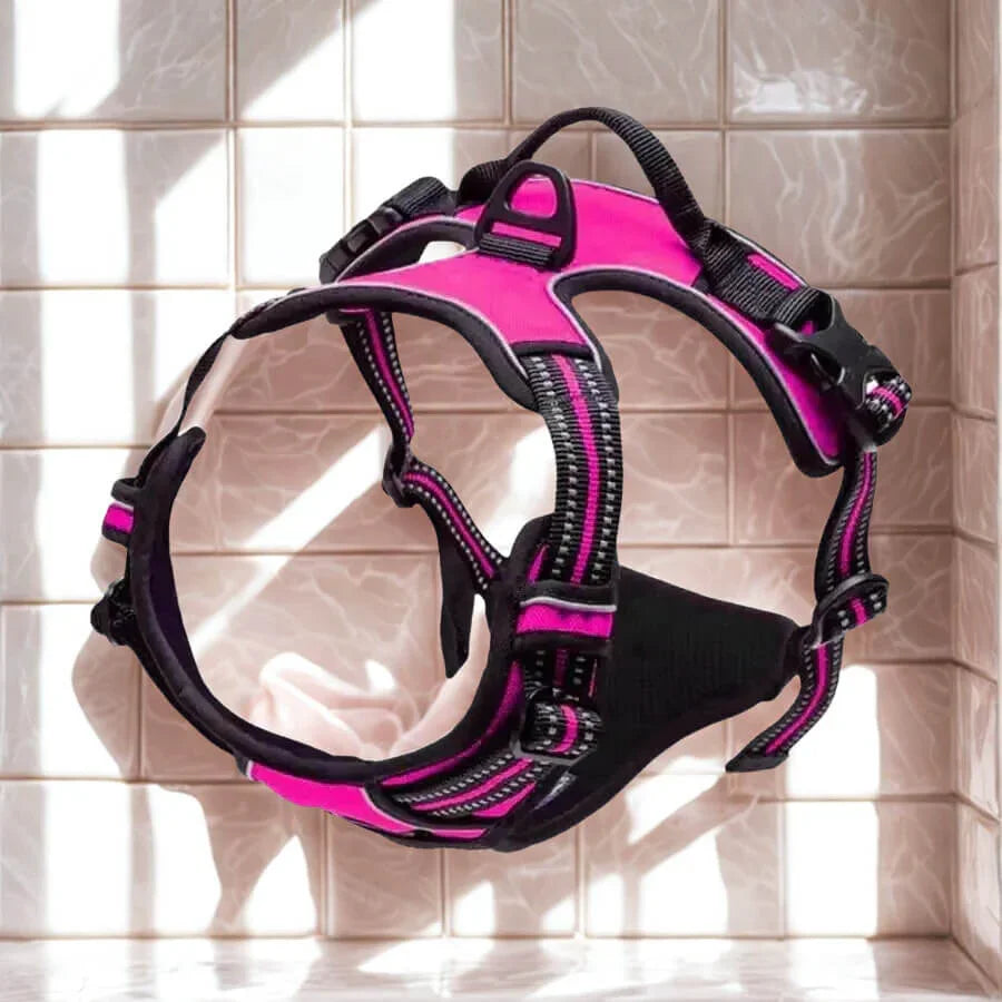 Harnais de Dressage pour Chien