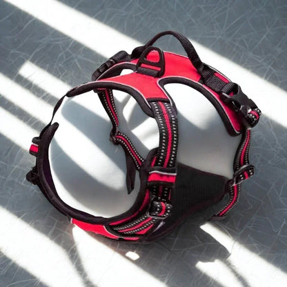 Harnais de Dressage pour Chien