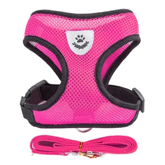 Harnais pour Chiot Petit chien Chat