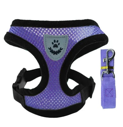 Harnais pour Chiot Petit chien Chat