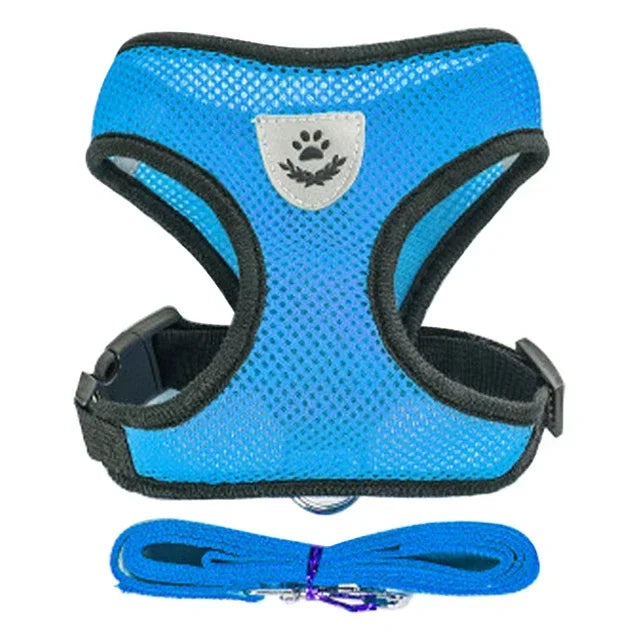 Harnais pour Chiot Petit chien Chat