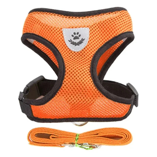 Harnais pour Chiot Petit chien Chat