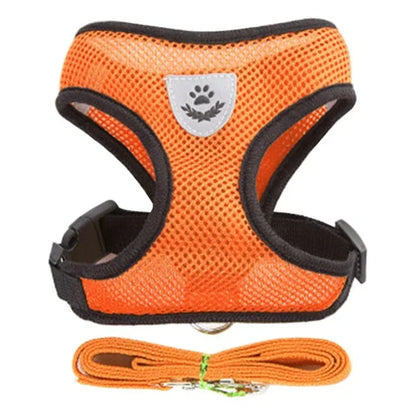 Harnais pour Chiot Petit chien Chat