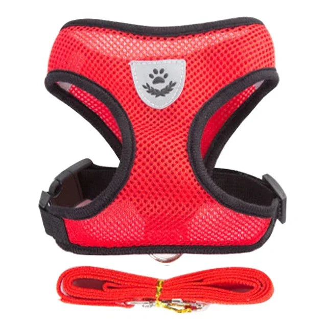 Harnais pour Chiot Petit chien Chat