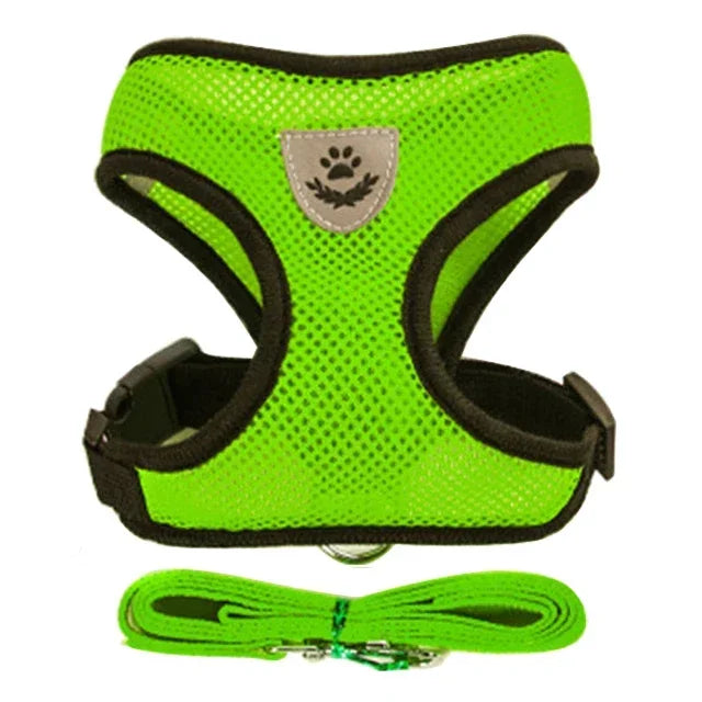 Harnais pour Chiot Petit chien Chat