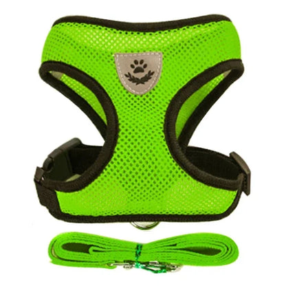 Harnais pour Chiot Petit chien Chat
