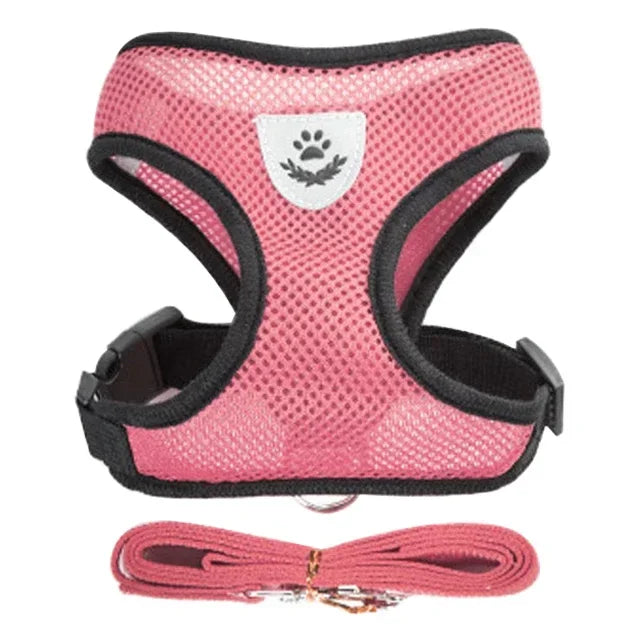Harnais pour Chiot Petit chien Chat