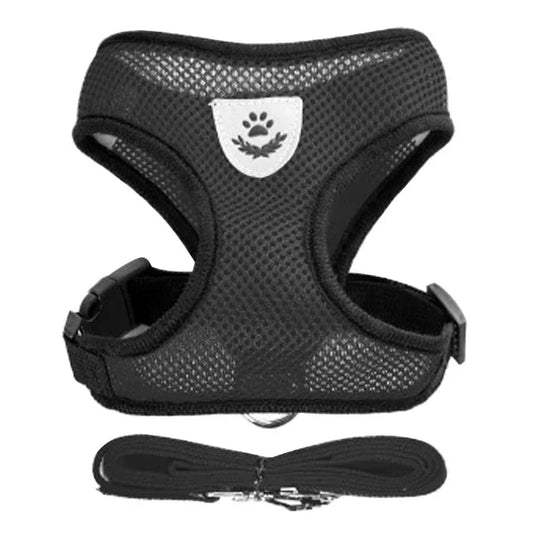 Harnais pour Chiot Petit chien Chat