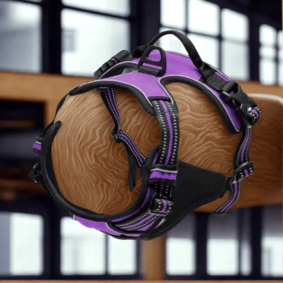 Harnais de Dressage pour Chien