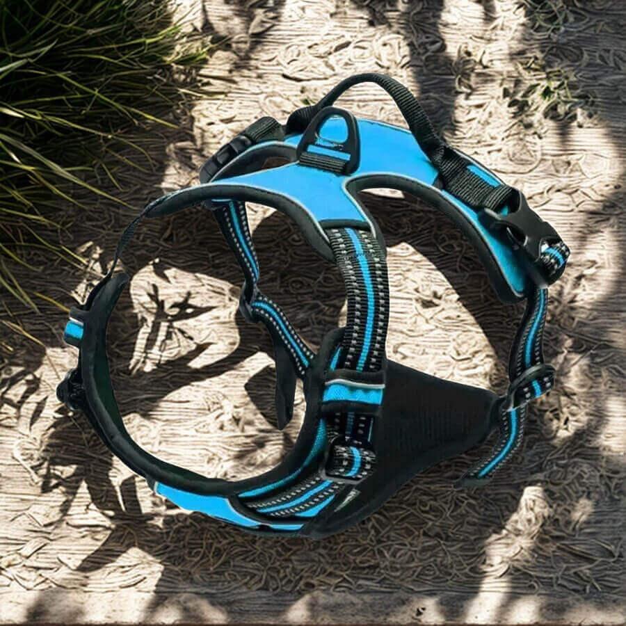 Harnais de Dressage pour Chien
