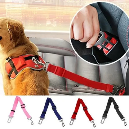 Ceinture de sécurité-Chien & chat