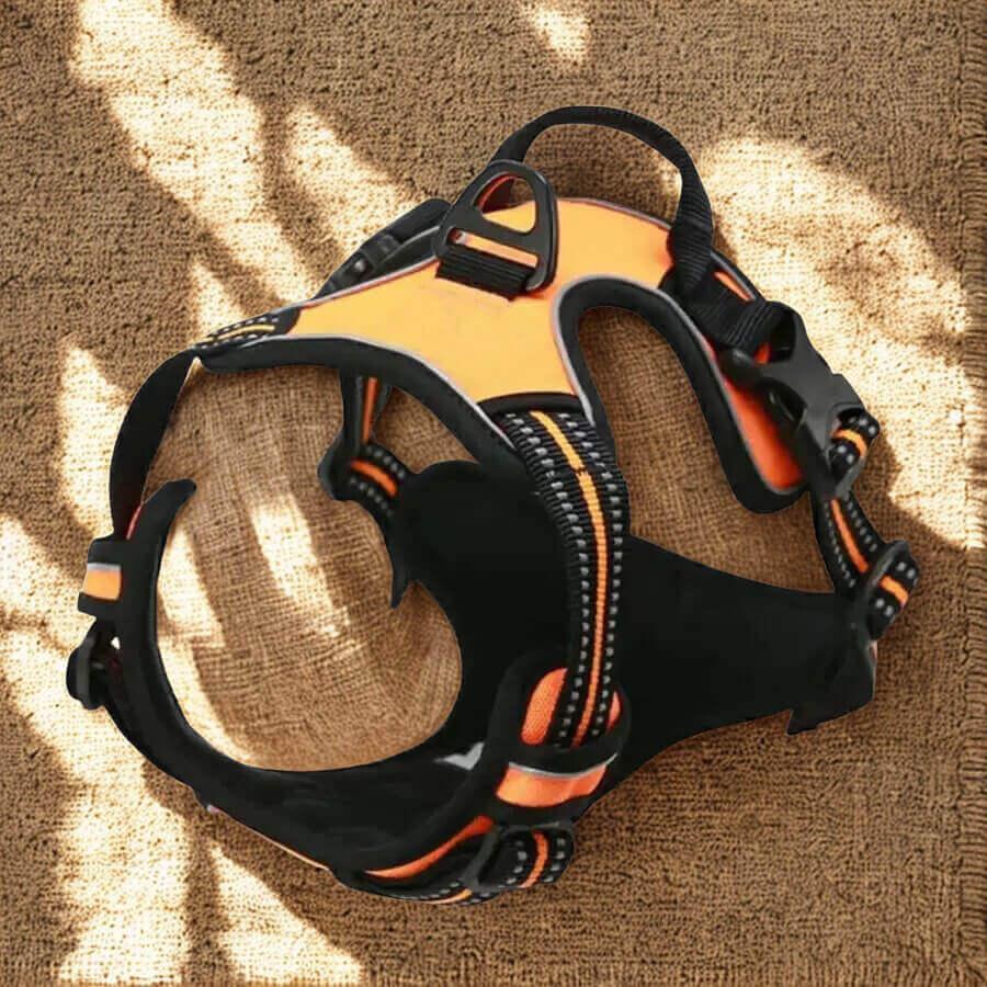 Harnais de Dressage pour Chien