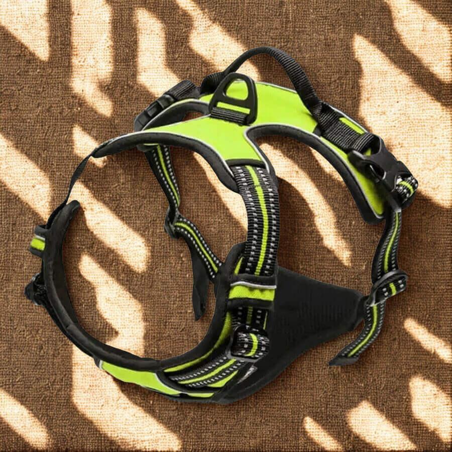 Harnais de Dressage pour Chien